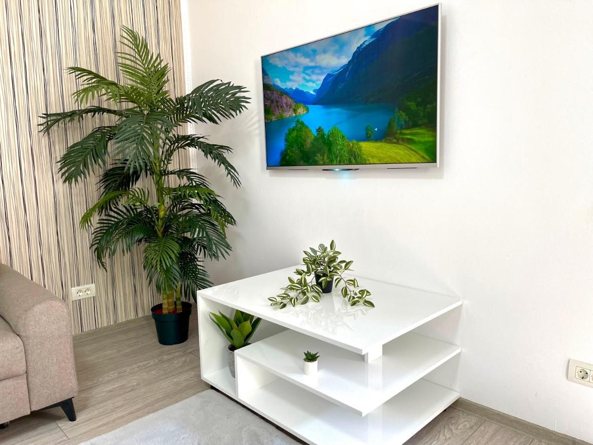 Cosy Place To Stay 티미쇼아라 외부 사진